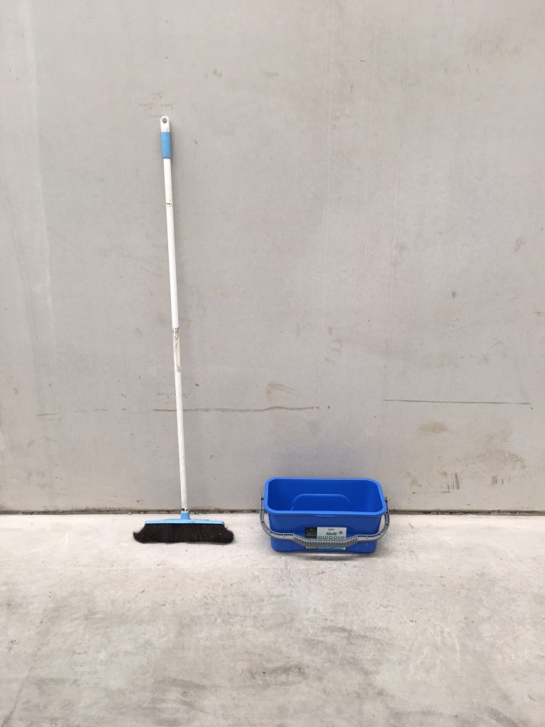 Broom and Multi purpose Bucket
